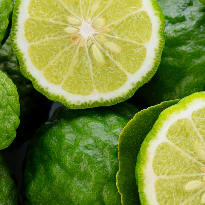 Citrusové a Fougere Tóny 50 ml