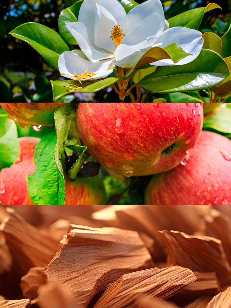 Fruit