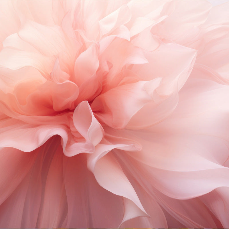 rosa-corazon
